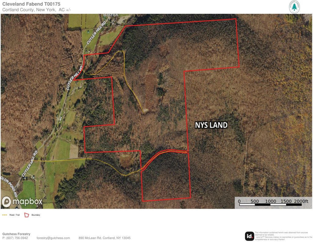 Ortho Map-1