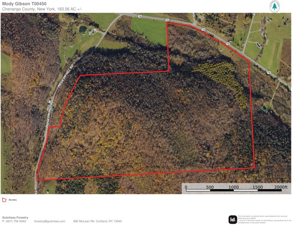 Ortho Map-1