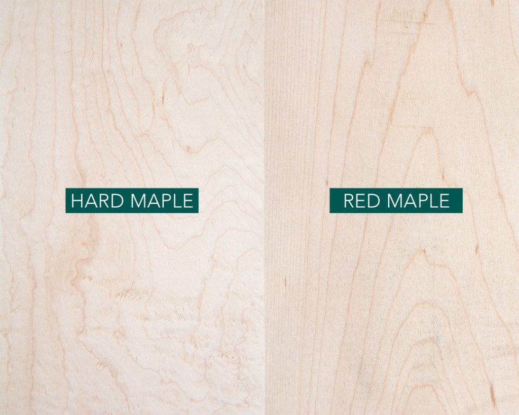 Hard Maple versus Red maple wood